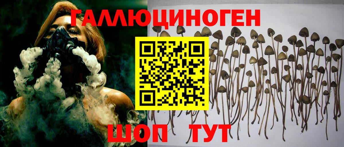 Галлюциногенные грибы MAGIC MUSHROOMS  Вход с VPN  Владимир  Псилоцибиновые грибы Magic Shrooms 